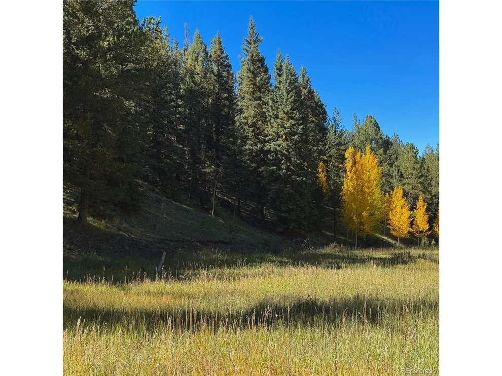 Unit for sale at 535 Willow Rd, Divide, CO 80814