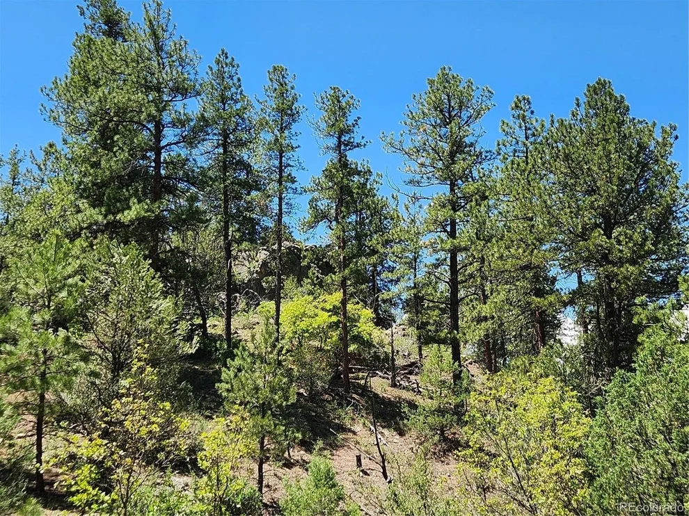 Unit for sale at 102 Kevin Dr, Cotopaxi, CO 81223