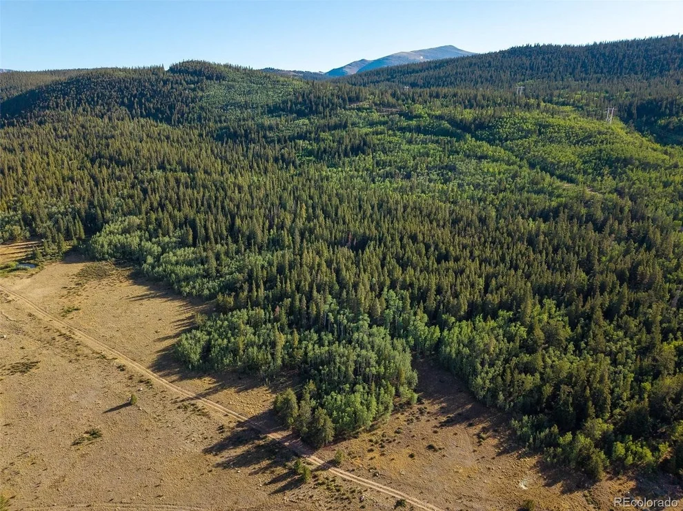 Unit for sale at 1 Snow Cap Peaks Rd, Alma, CO 80440
