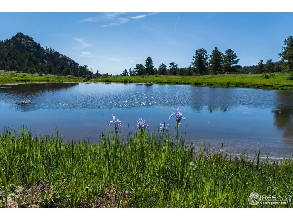 Unit for sale at Shoshana Ranch Rd, Livermore, CO 80536