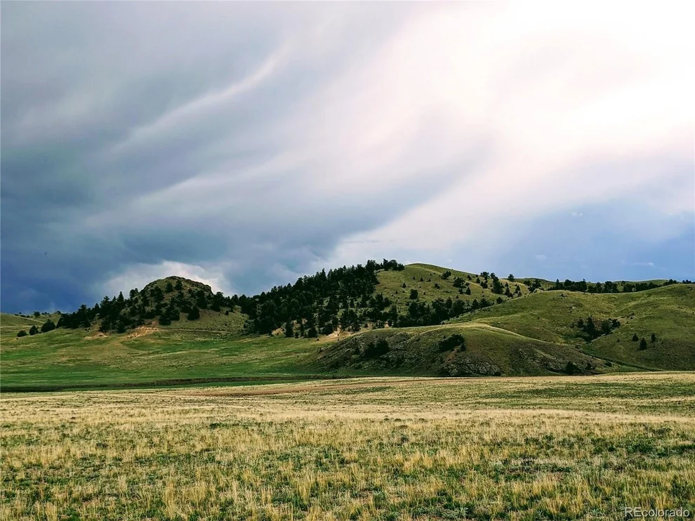 Unit for sale at 2667 Cahokia Rd, Hartsel, CO 80449