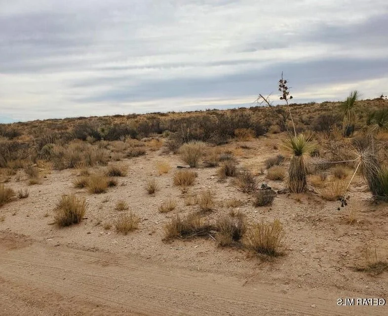 Unit for sale at PN 89207 Lima Drive, Clint, TX 79938