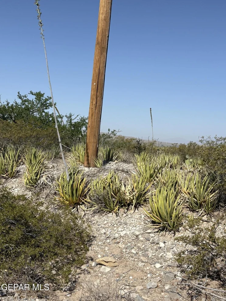 Unit for sale at 18350-60 Carinha Avenue, Clint, TX 79938