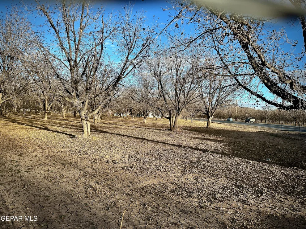 Unit for sale at TBA Farm Road 259, Canutillo, TX 79835