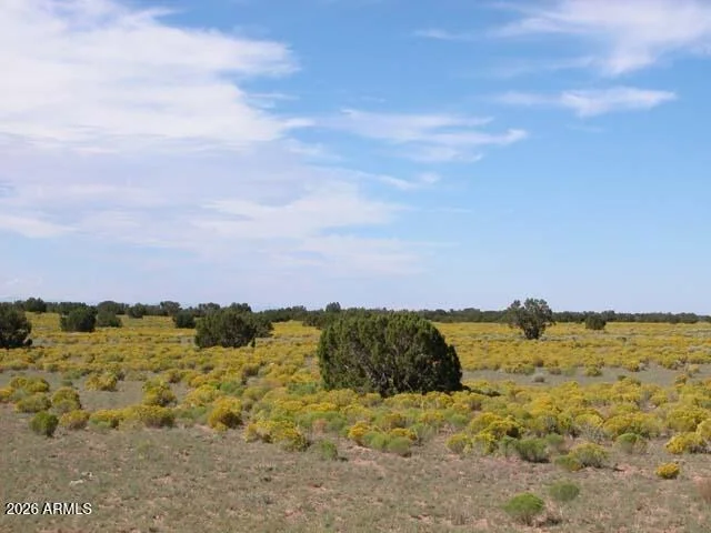 Unit for sale at 206-10-409 Bar Nothing Ranch Road, Chambers, AZ 86502