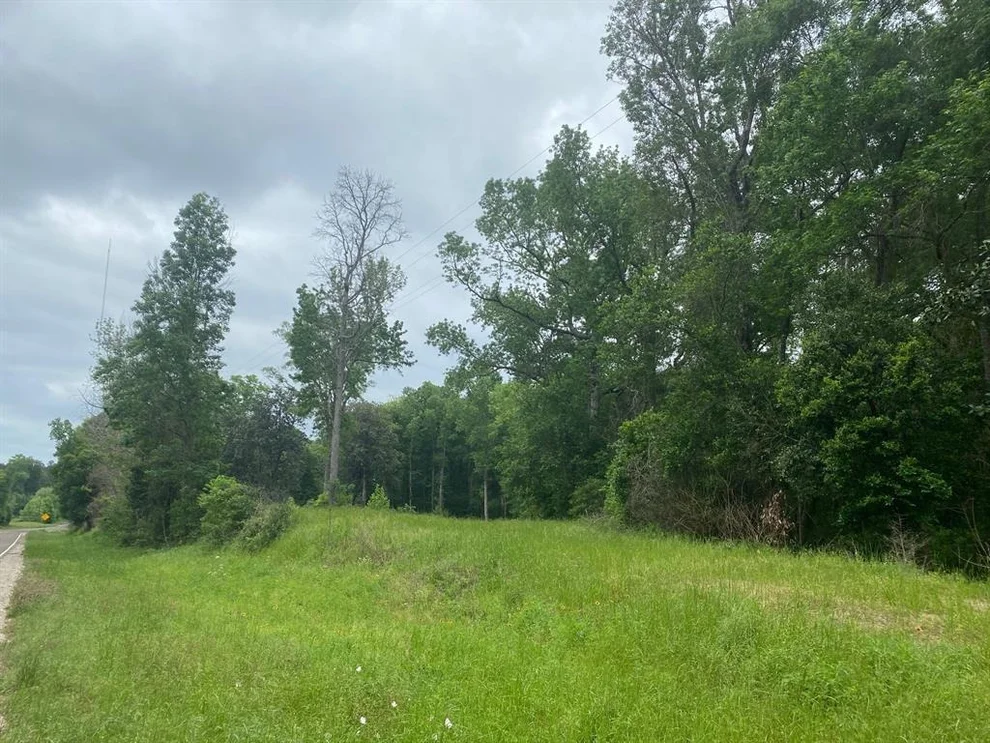 Unit for sale at TBD 00 Fm 222 Loop S, Coldspring, TX 77331