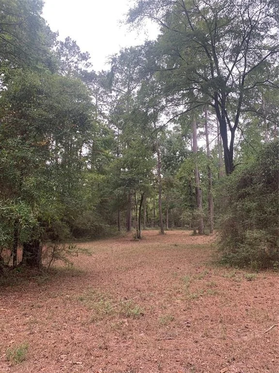 Unit for sale at TBD Oak Pine Drive, Livingston, TX 77351