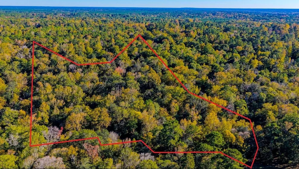 Unit for sale at TBD Rolling Ridge Road, Goodrich, TX 77335