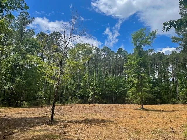 Unit for sale at 1 Highway 69, Zavalla, TX 75980