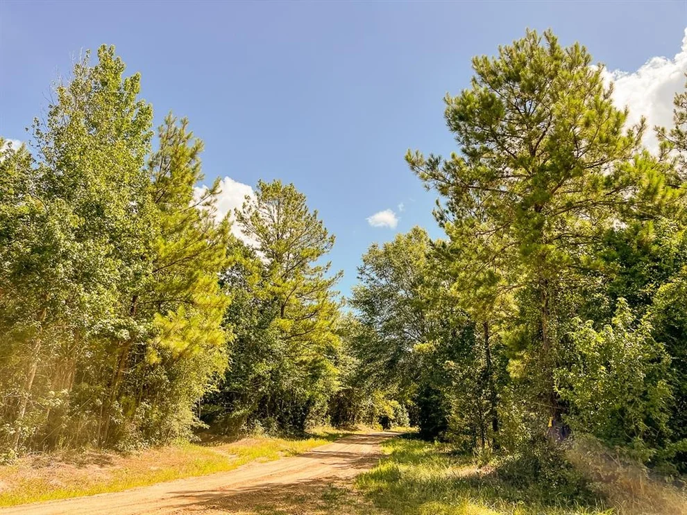 Unit for sale at 000 Cr 367/Cr 368, Zavalla, TX 75980