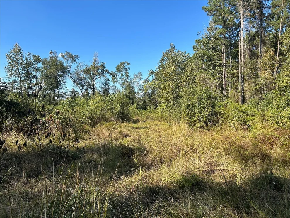 Unit for sale at Lot 16 County Road 2235, Cleveland, TX 77328