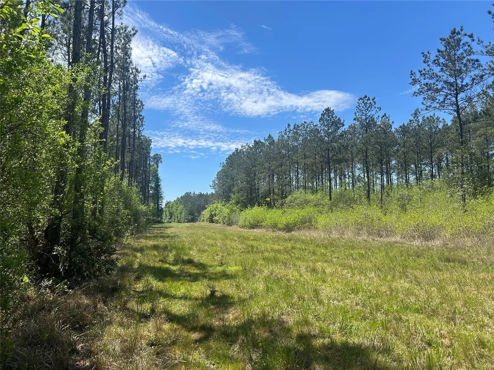 Unit for sale at Lot 39 Carter Ranch Road, Kountze, TX 77625