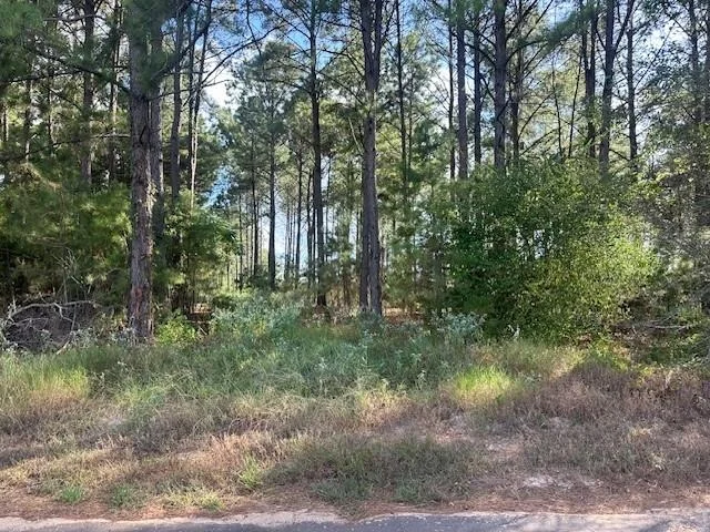 Unit for sale at TBD 5 ACRES W Cr 3271, Mount Enterprise, TX 75681