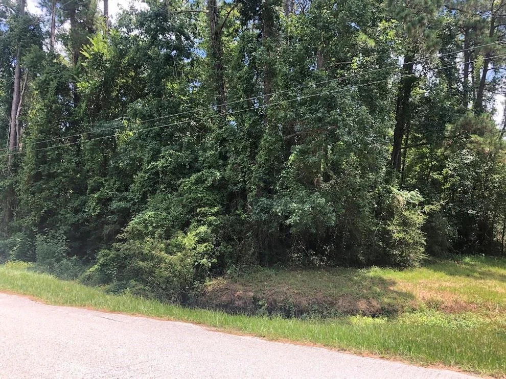 Unit for sale at 0 Bettyann Lane, Houston, TX 77339