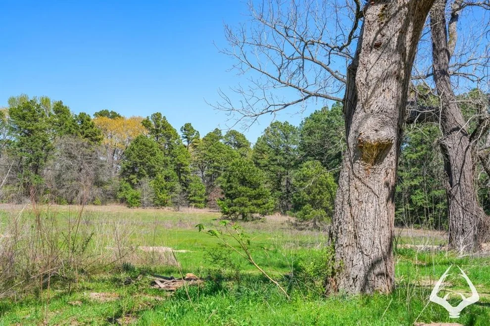 Unit for sale at TBD Fm 323, Palestine, TX 75801