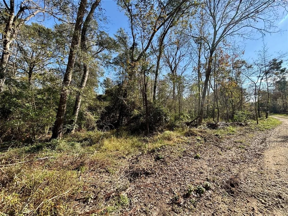 Unit for sale at TBD Magnolia Park, Conroe, TX 77306