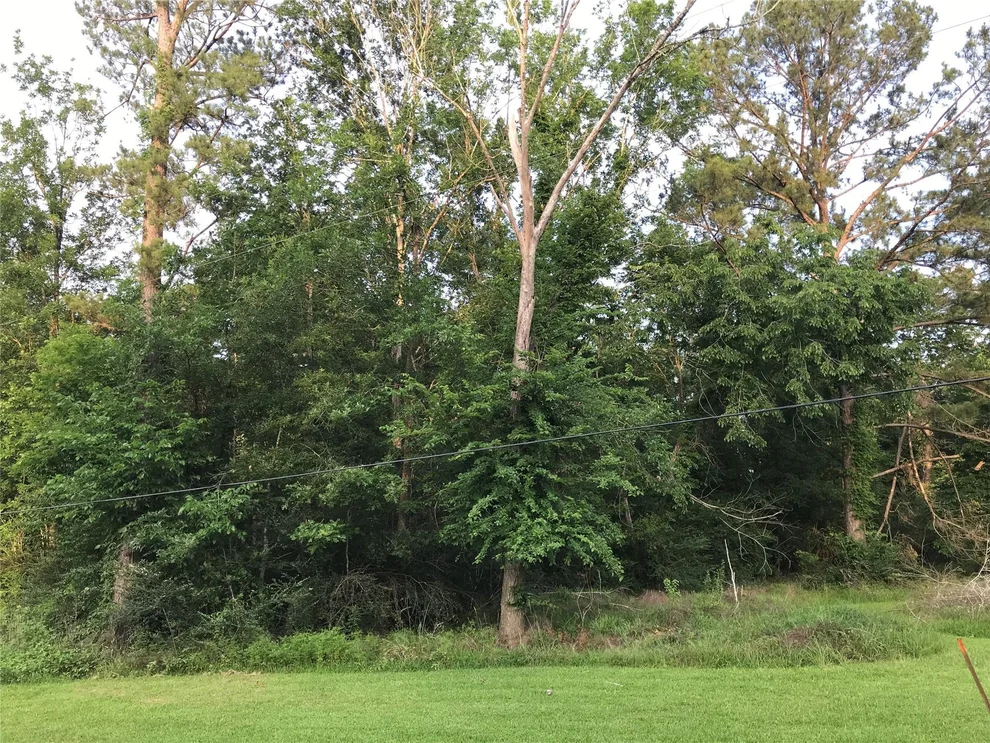 Unit for sale at 150 Lakeside Court, Goodrich, TX 77335