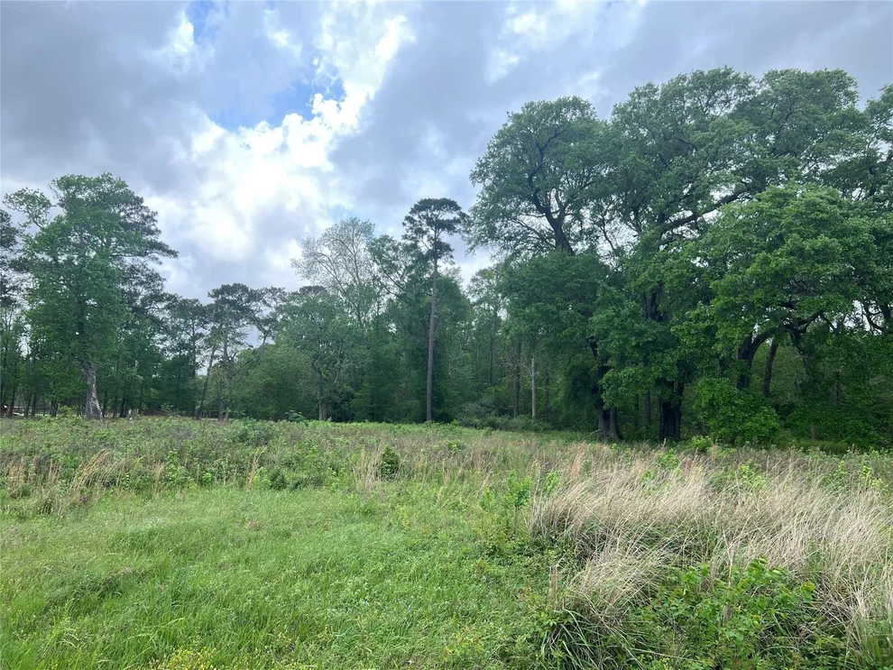 Unit for sale at 000 N Mlk Drive, Ames, TX 77575