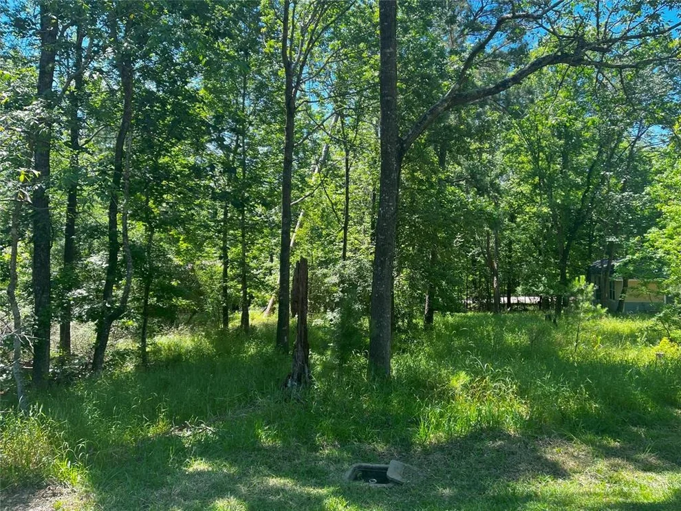 Unit for sale at 15 Cherry Hills Drive, Coldspring, TX 77331