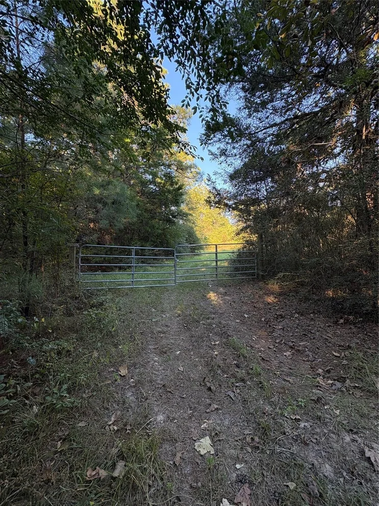Unit for sale at TBD Menard Chapel Road, Livingston, TX 77351