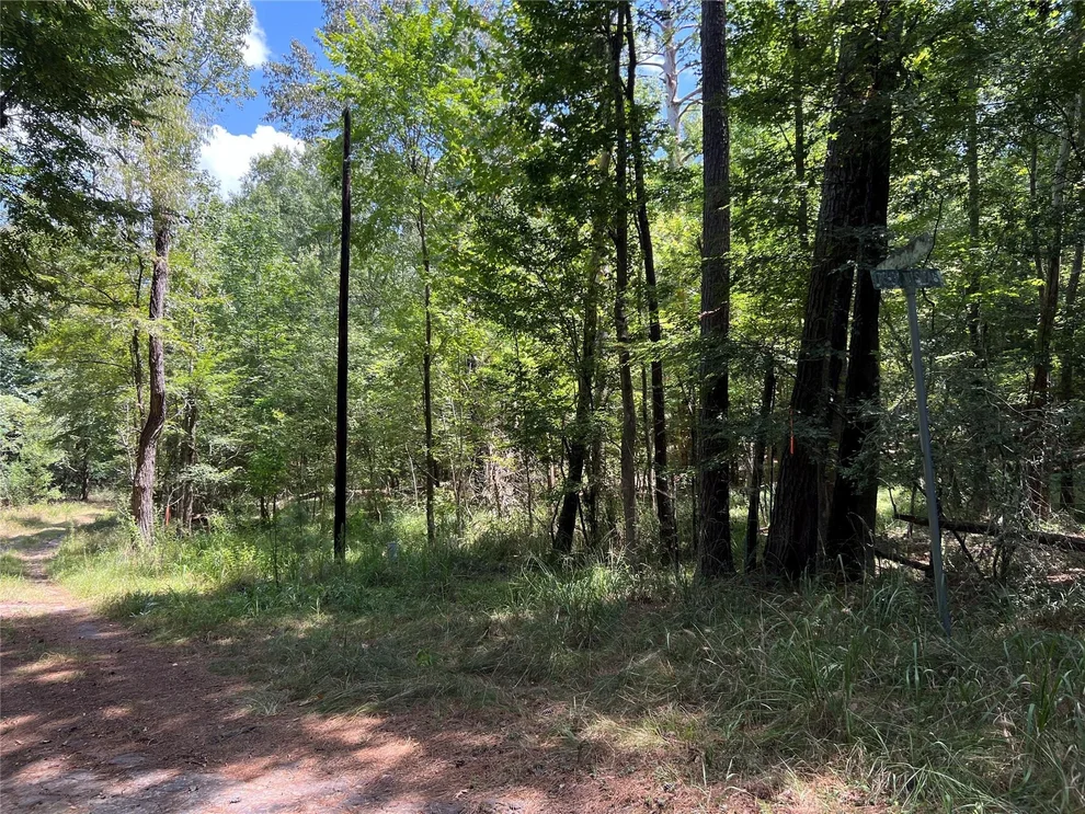 Unit for sale at 415 Rio Vista Drive, Livingston, TX 77352