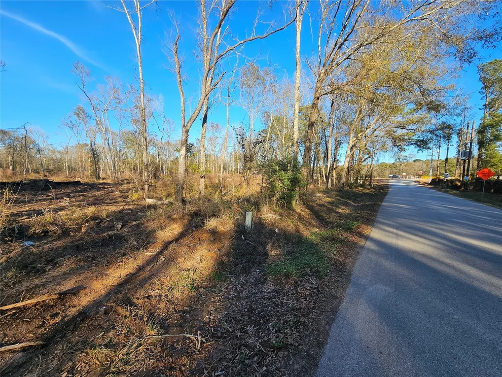 Unit for sale at 84 Sherwood Drive, Shepherd, TX 77371