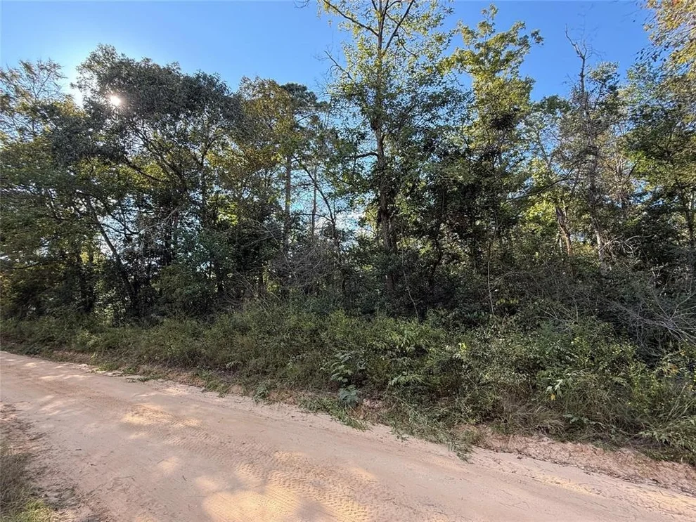 Unit for sale at TBD Lannie Blvd, Livingston, TX 77351