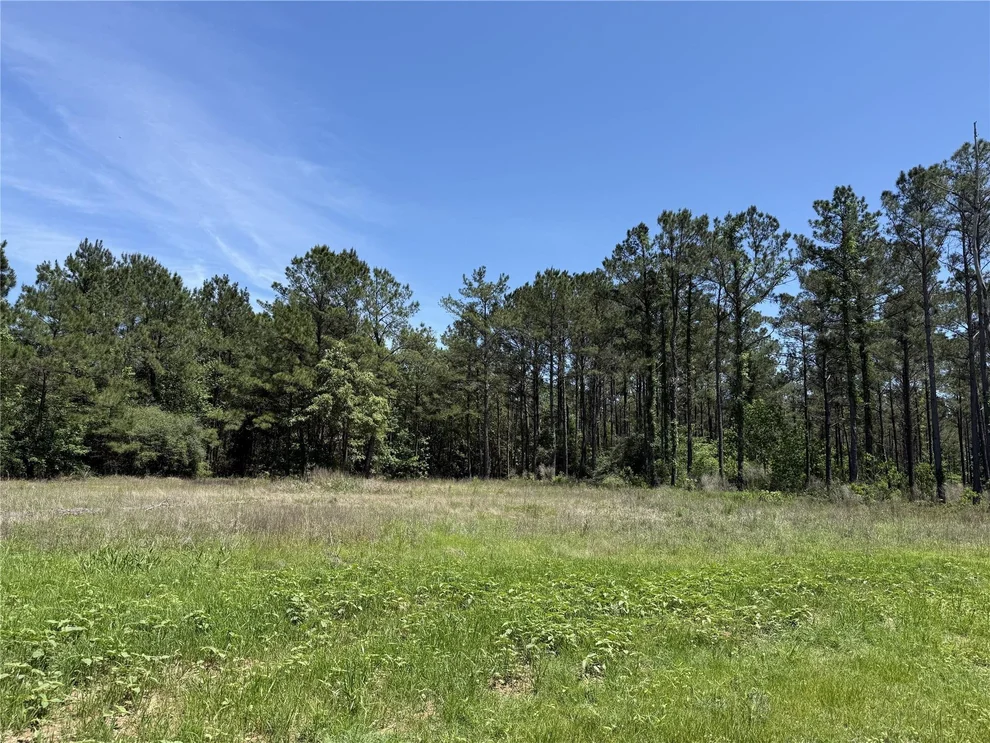 Unit for sale at 165 Queen Anne Way, Huntsville, TX 77340