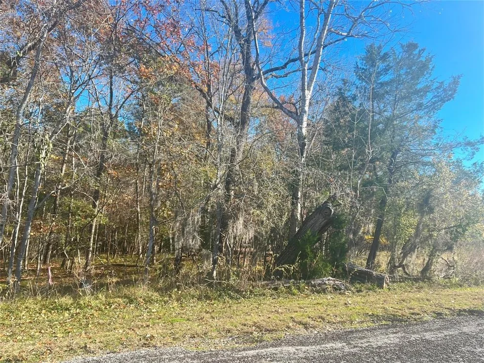 Unit for sale at 165 N Pine Harbour Drive, Coldspring, TX 77331