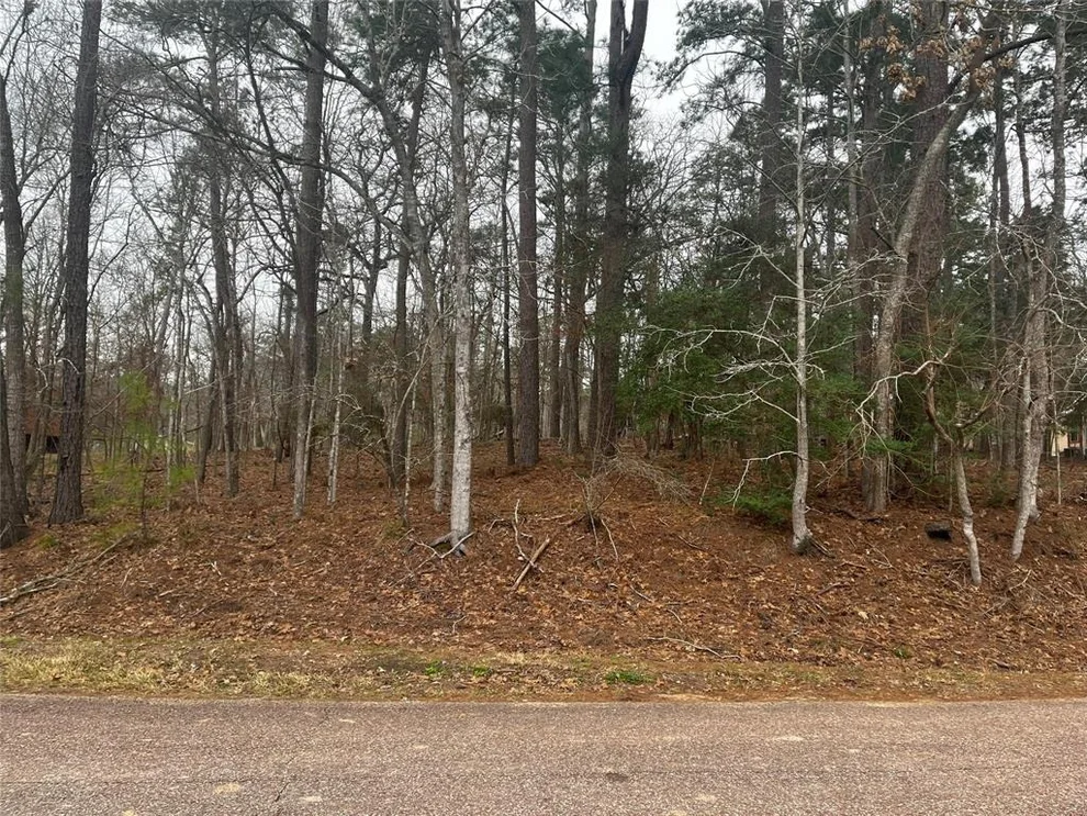 Unit for sale at 101 S Royale Greens Drive, Coldspring, TX 77331