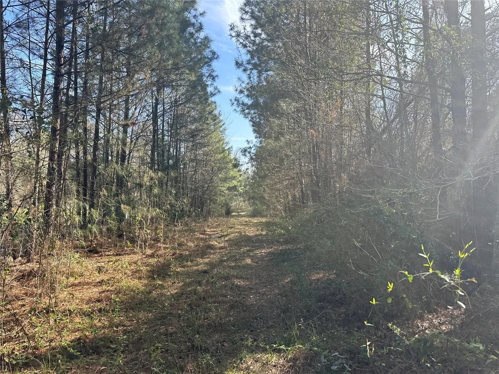 Unit for sale at TBD Road 3813, Cleveland, TX 77328