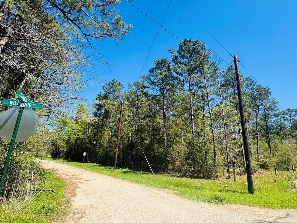 Unit for sale at 00 Creekbend Drive, Plantersville, TX 77363