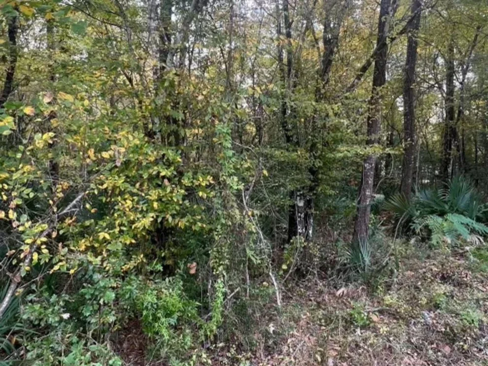 Unit for sale at 0 County Road 2522, Dayton, TX 77535