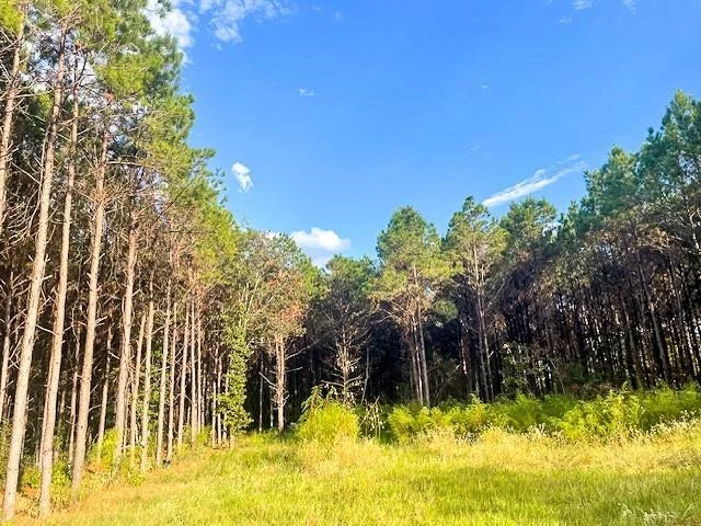 Unit for sale at 3564 Midway Loop E, Livingston, TX 77351