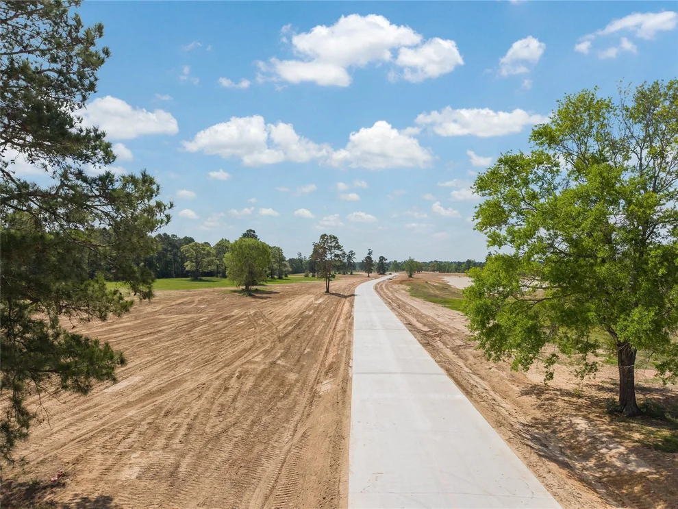 Unit for sale at 2451 Emerie Arbor Lane, Hockley, TX 77447