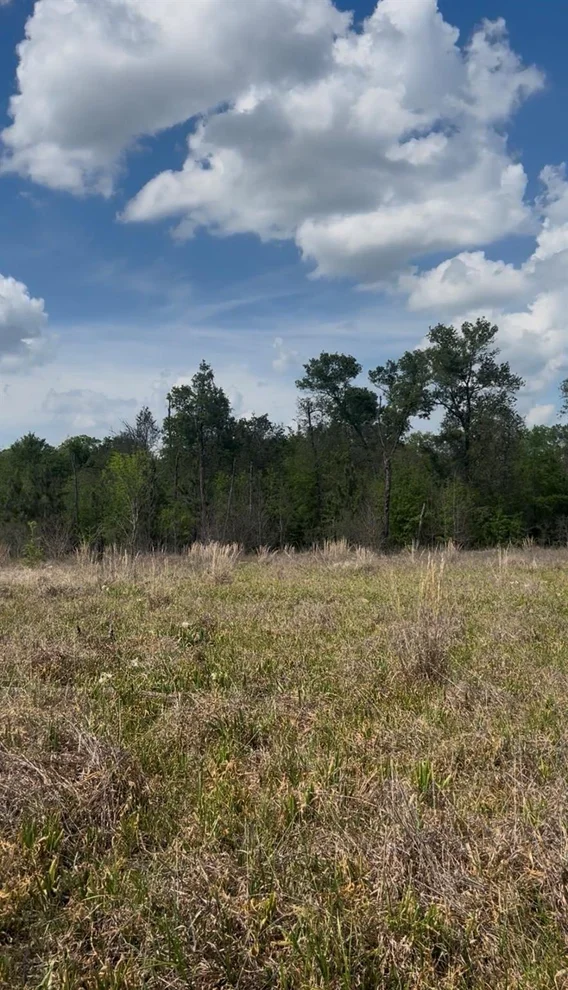 Unit for sale at 2147 8160 Tract 36, Lovelady, TX 75851