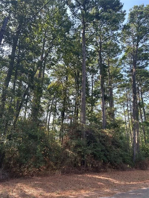 Unit for sale at 1920 Caldwell Street, Livingston, TX 77351