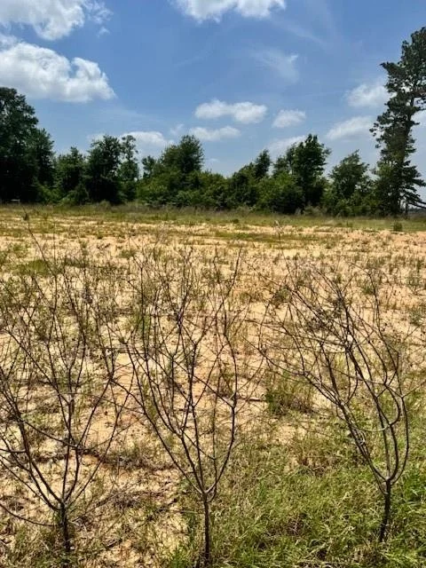 Unit for sale at 508 Road 5915 15, Cleveland, TX 77327