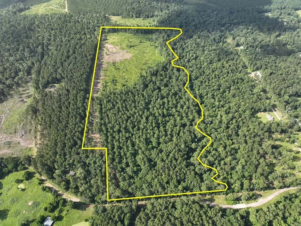 Unit for sale at 1 Dick Skinner Road, Corrigan, TX 75939