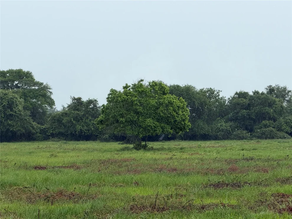 Unit for sale at 0 Fm 616, Blessing, TX 77419