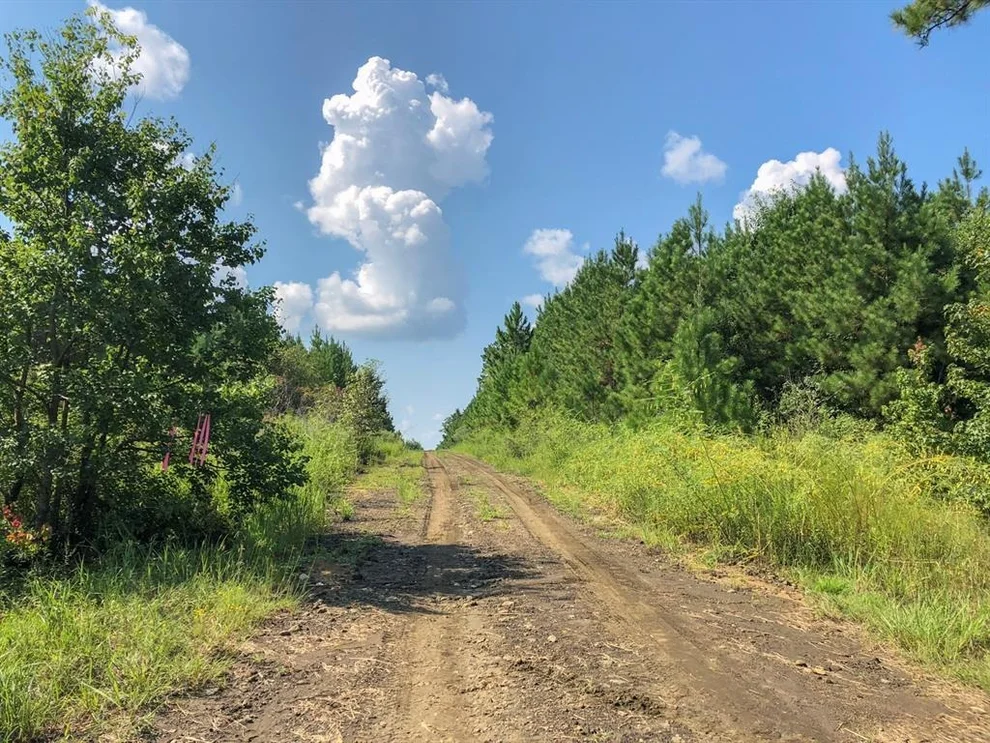 Unit for sale at 0 Off Fm 1746, Woodville, TX 77624