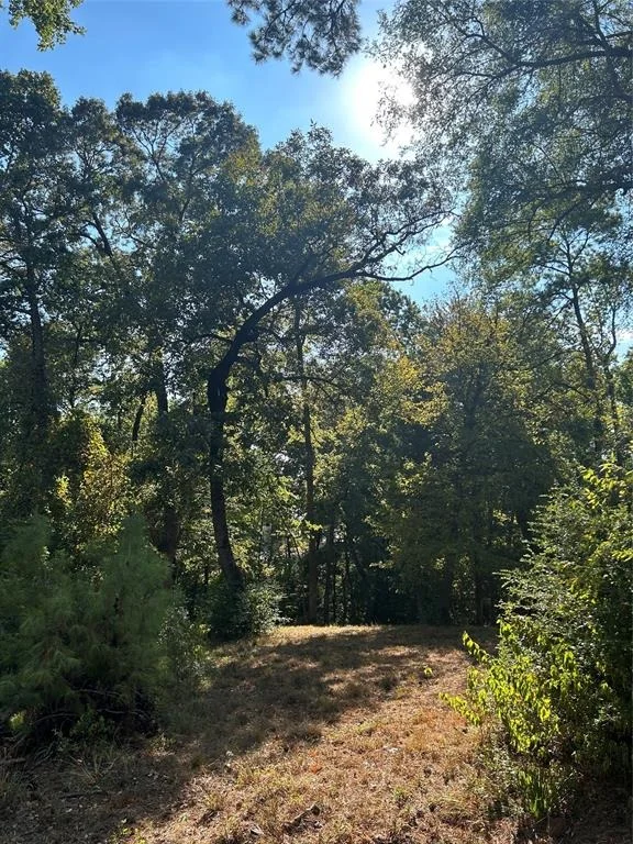 Unit for sale at TBD Tiki Trail, Livingston, TX 77351