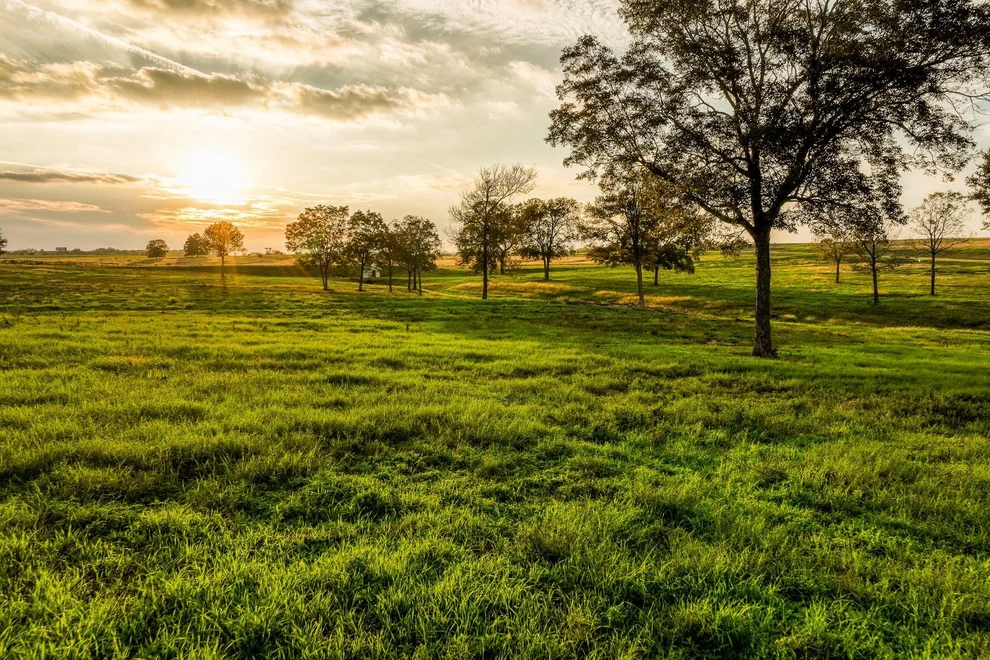 Unit for sale at TBD Sunny Meadow Lot 24 Drive, Chappell Hill, TX 77426