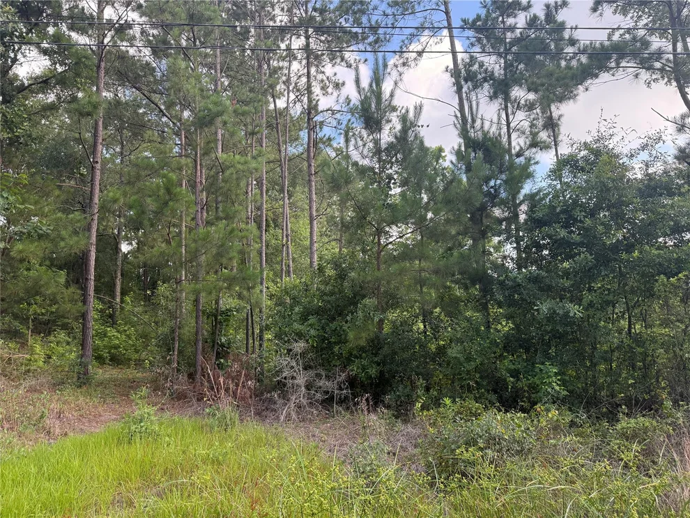 Unit for sale at 3555 Hickock Lane, Willis, TX 77378