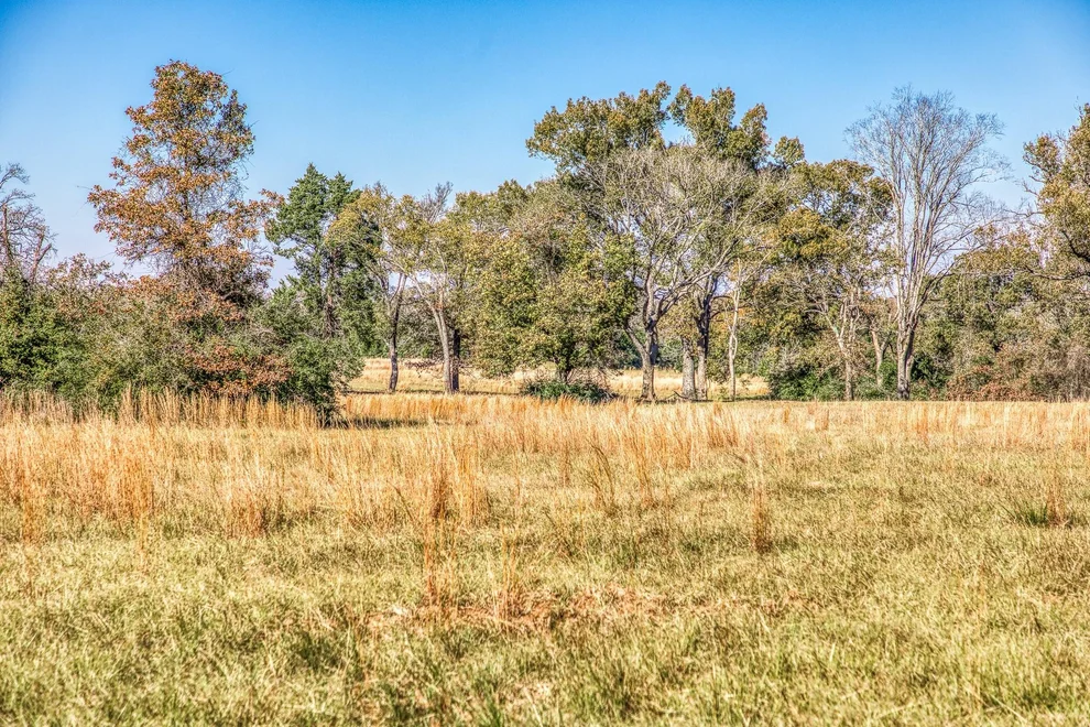Unit for sale at 1967 Fm 489, Oakwood, TX 75855