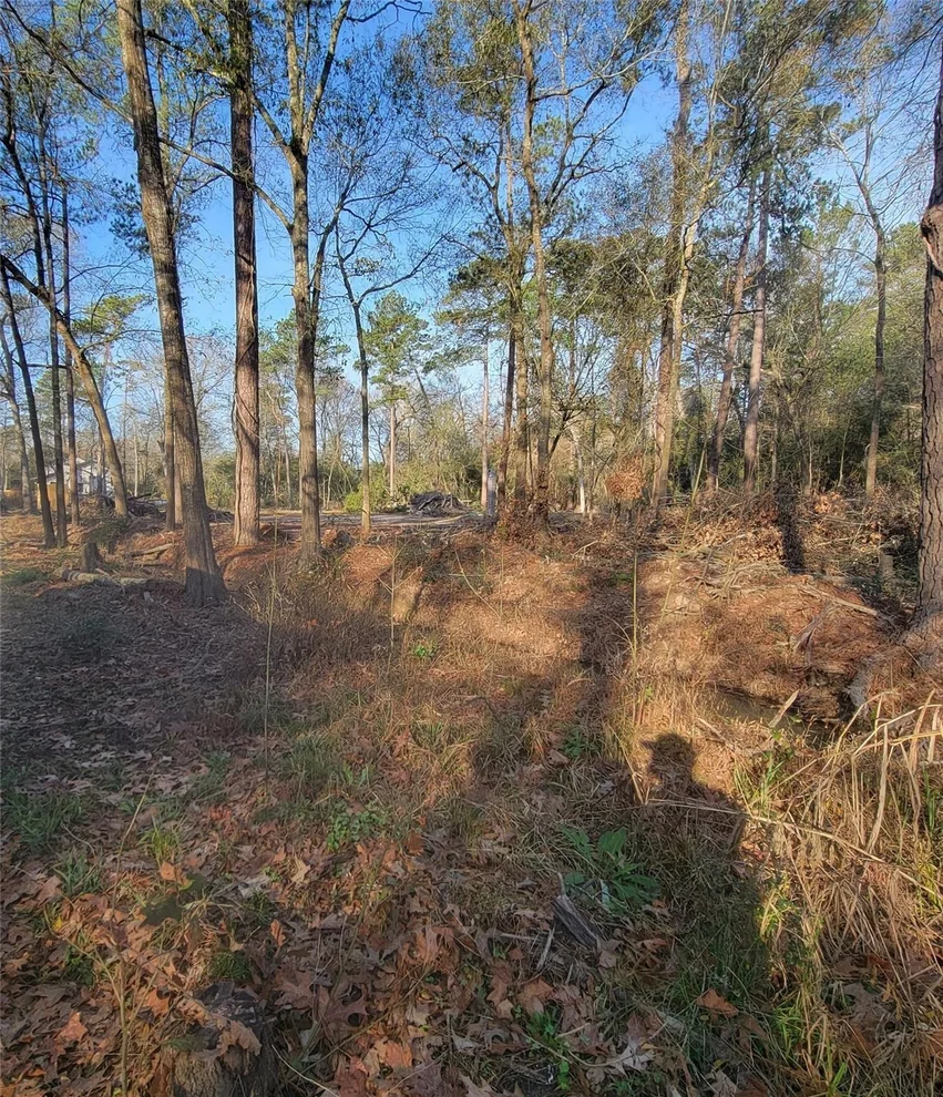 Unit for sale at TBD Fenham Lane, Humble, TX 77338