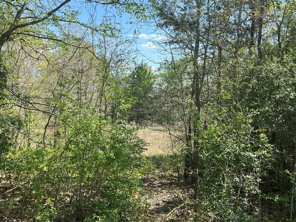 Unit for sale at Lot #2 Cr 218 Road, Anderson, TX 77830