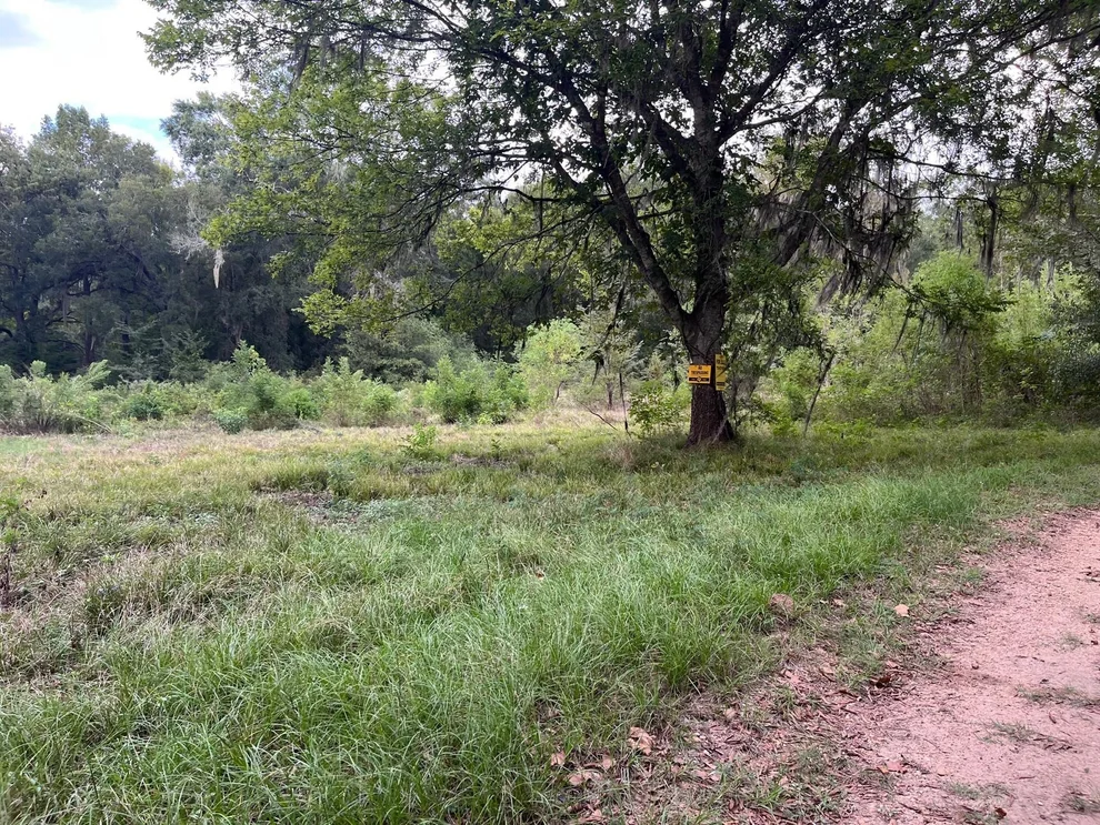 Unit for sale at 0 N Francies, Shepherd, TX 77371