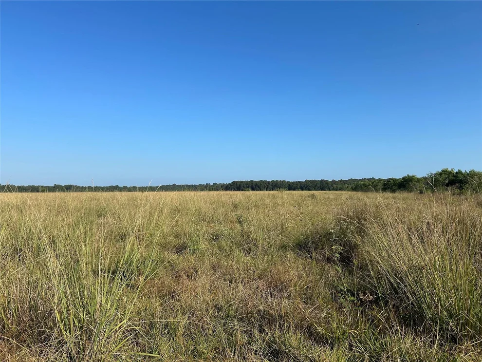 Unit for sale at Lot 60 Minnie West Road, Hull, TX 77564