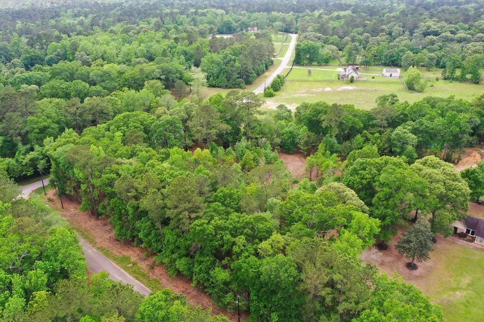 Unit for sale at 0 Daniel Street, Magnolia, TX 77354